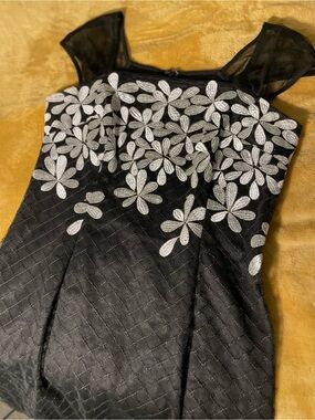 Adrianna Papell Black Evening Dress with Mesh Detail NWOT